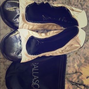 Gold & black Ballasox